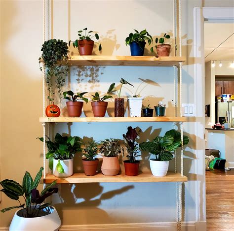 Diy Plant Shelves Nearly Complete Rindoorgarden