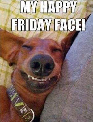 Know your meme does a good job with the history: My Friday Happy Face Funny dog meme - Never Shutup ...