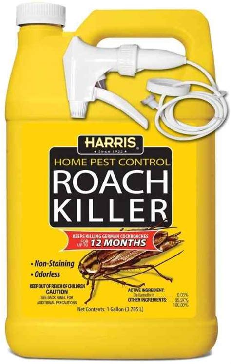 11 Best And Effective Ways To Kill Roaches Instantly At Home