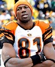 Terrell Owens still could make an impact - Sports Illustrated