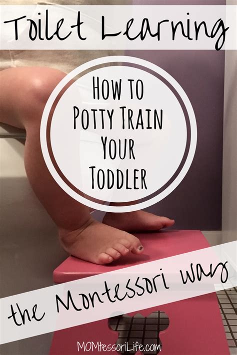 Toilet Learning — How To Potty Train Your Toddler The Montessori Way