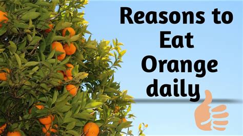 Health Benefits Of Oranges Youtube