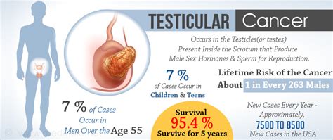 Testicular Cancer Risk Factors Symptoms Diagnosis Staging