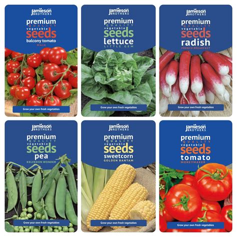 Summer Vegetable Seeds Bundle 6 Varieties Approx 1500 Seeds By