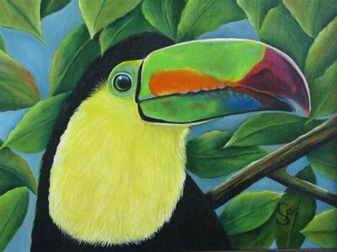 Costa Rican Toucan Painting Costa Rican Toucan Fine Art Print Florida