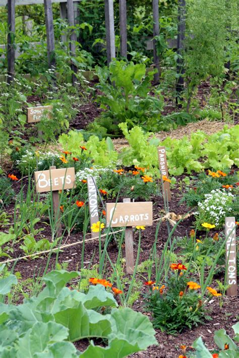 Vegetable Garden Plants Names And Pictures Garden Design Ideas