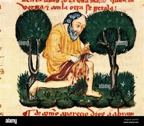 abraham s circumcision illuminated manuscript miniature from the 15th
