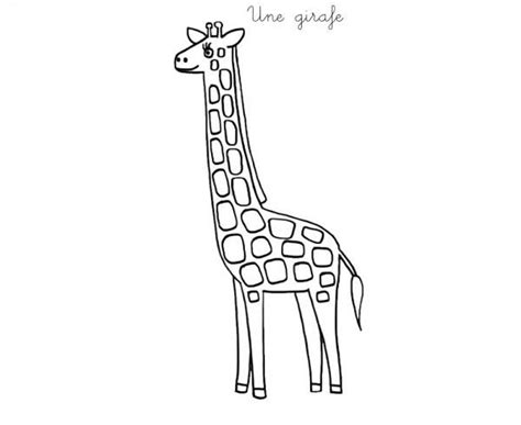 Coloriage à Imprimer Une Girafe Coloriage Coloriage à Imprimer
