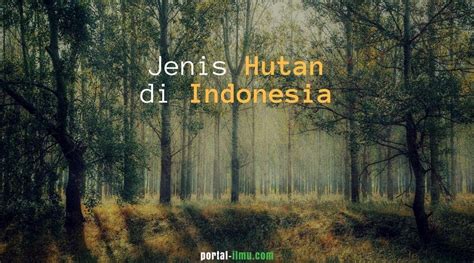 13 Jenis Hutan Di Indonesia Portal