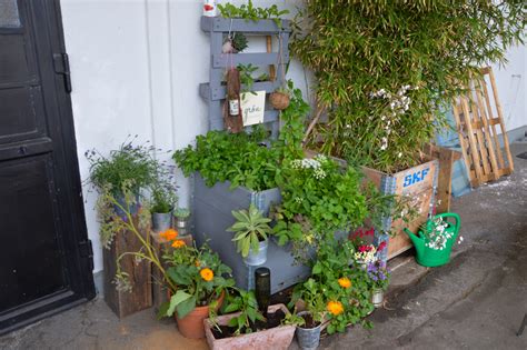 Permakultur Im Einklang Mit Der Natur Fink Hamburg