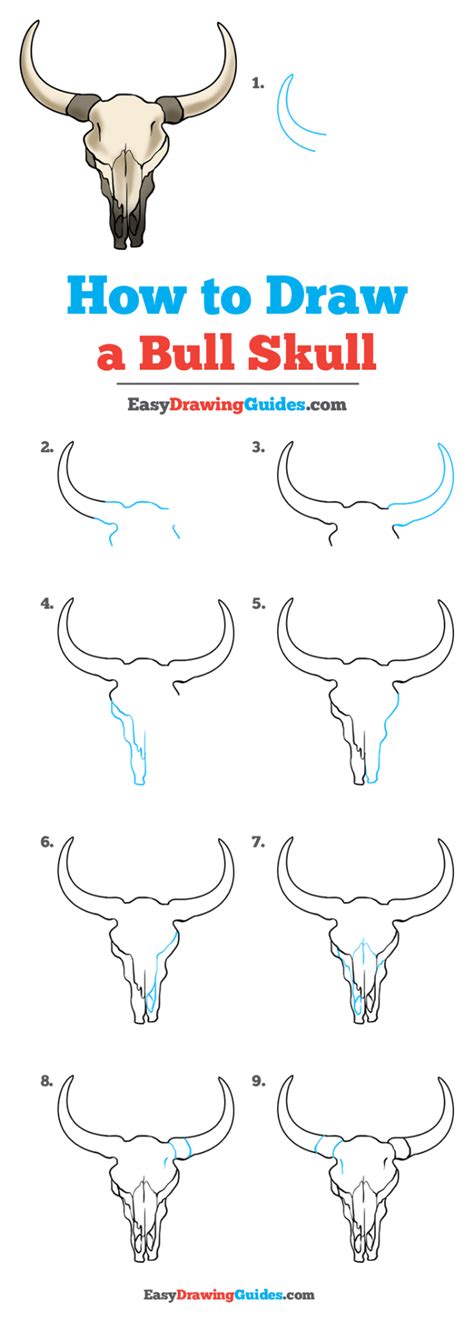 Https://tommynaija.com/draw/how To Draw A Animal Skull Step By Step