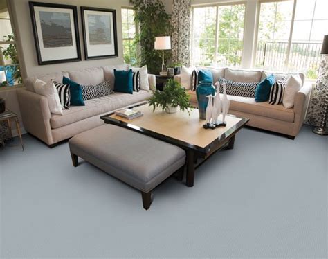 Light Blue Carpet With Light Colored Couch Cozy Living Rooms Cottage