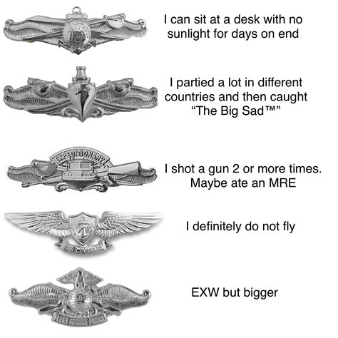 Warfare Pins And What They Really Mean Rnavy