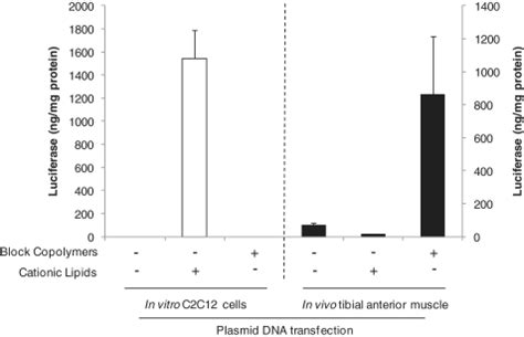 In Vivo And In Vitro Transfection Efficiency Of Amphiphilic Block