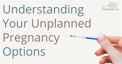 Unplanned Pregnancy Options Adoption By Shepherd Care