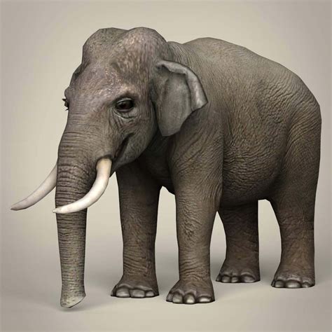 Elephant 3d Model By Treeworld3d
