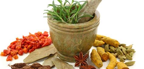 Natural extracts,natural plant extracts,natural herbal ...