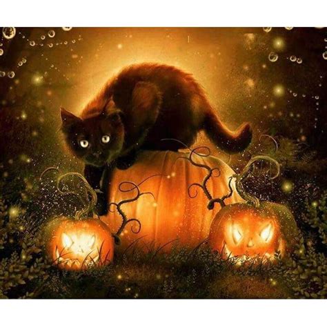 Diamond Painting Halloween Cat Schwarze Katze Kunst Halloween