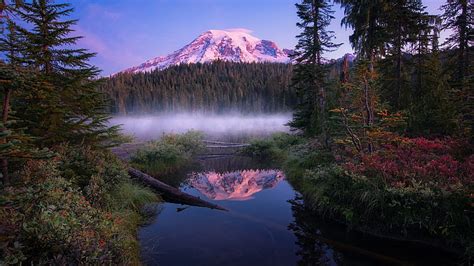 Mount Rainier 4k Wallpaper