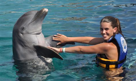 Cancun Swimming With Dolphins In Mayan Riviera Discounts