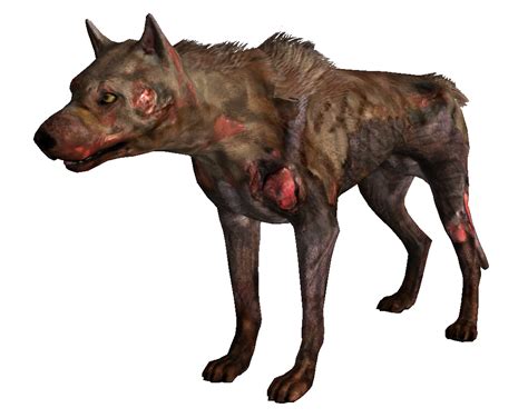 Dog (Fallout 3) - The Fallout wiki - Fallout: New Vegas and more