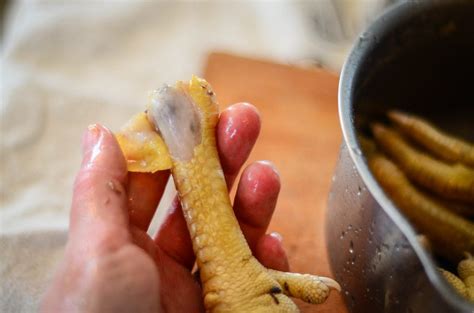 Chicken Feet Why You Need Them In Your Diet And How To Prepare Them