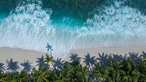Download 1920x1080 Wallpaper Beautiful Beach Aerial View Palm Trees