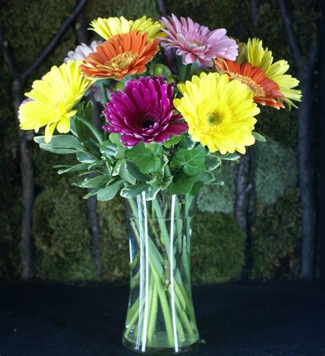 Gerbera Daisy Arrangement Flower Mart