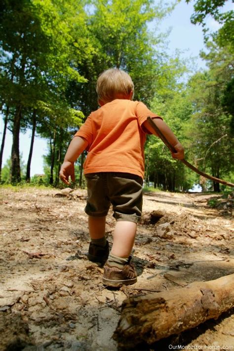 7 Nature Walks To Take With Kids