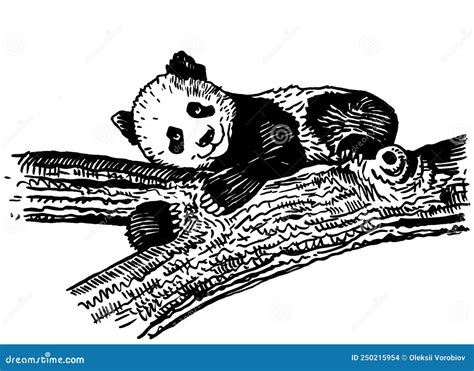 Graphical Cute And Small Panda Laying On The Branch Of The Tree