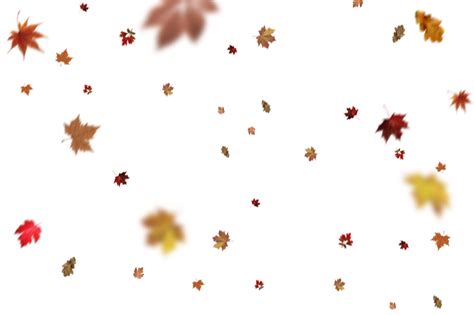 Find funny gifs, cute gifs, reaction gifs and more. Best 10 Falling Leaves Overlays for Photoshop Free ...
