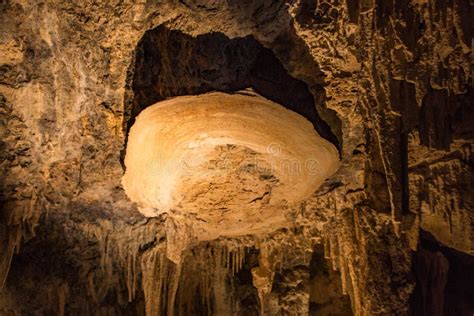 Cave Shield Stock Image Image Of Formation Geology 228836519