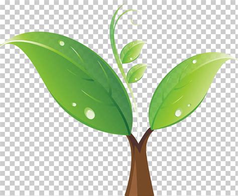 Tree Sprout Clipart 10 Free Cliparts Download Images On Clipground 2024