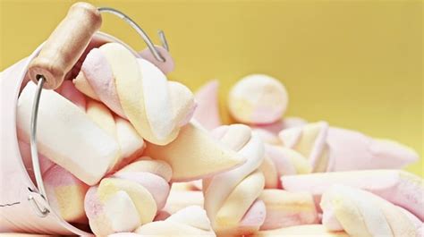 The perfect complement to peanut butter and bread, it's a favorite snack across much of the but fluff is more than just marshmallow crème. 8 Facts On Can Cats Eat Marshmallows Everyone Should Know