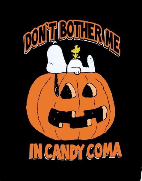 Dont Bother Me In Candy Coma Pictures Photos And Images For