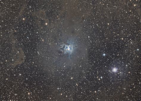 Ngc 7023 The Iris Nebula From A Bortle 2 Zone