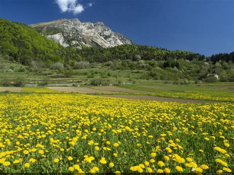 Dolomites In Spring 5 Reasons To Visit The Italian Mountains