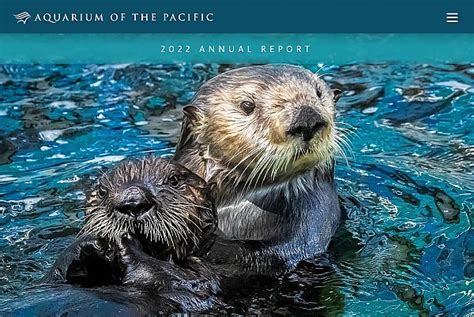2022 Annual Report About The Aquarium Aquarium Of The Pacific
