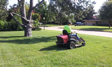 Oklahoma Lawn Care Schedule Pearlie Sawaya