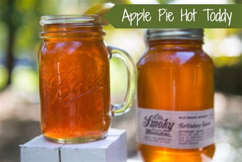 Apple Pie Hot Toddy A Great Warm Cocktail For Cold Nights