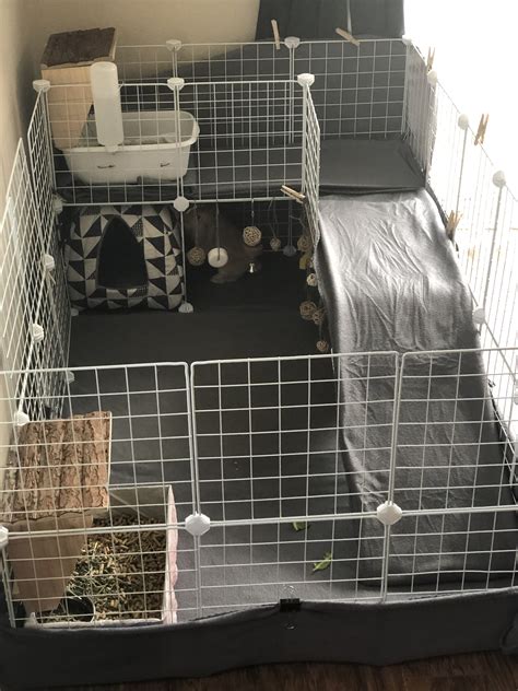 Indoor Rabbit Cage Plans