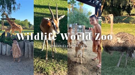 Wildlife World Zoo And Safari Park Litchfield Park Az Youtube