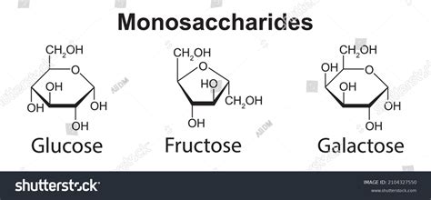 Chemical Illustration Monosaccharides Glucose Fructose Galactose Stock