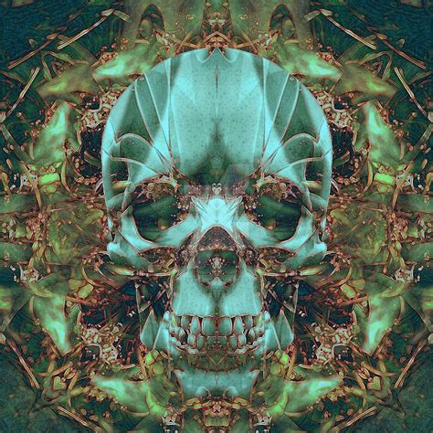 Fantasy Skull 110 By Peterkrijger On
