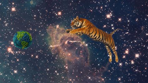 Tiger Playing In Space 1920×1080 Wallpaper