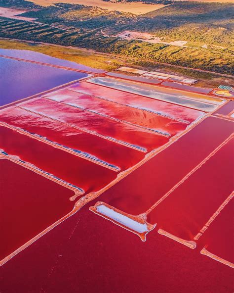 I Photographed The Magic Pink Lagoon In Western Australia Pink Lake
