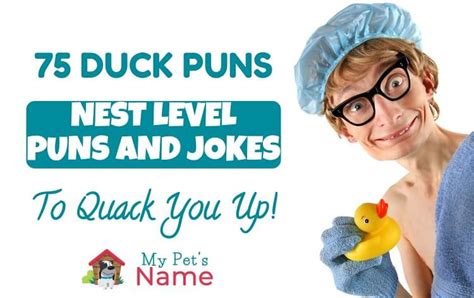Duck Puns 75 Nest Level Jokes To Quack You Up My Pets Name