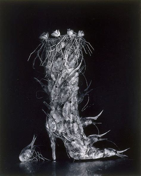 Boot Of Shrimps 1995 By Michiko Kon Contemporary Photographers