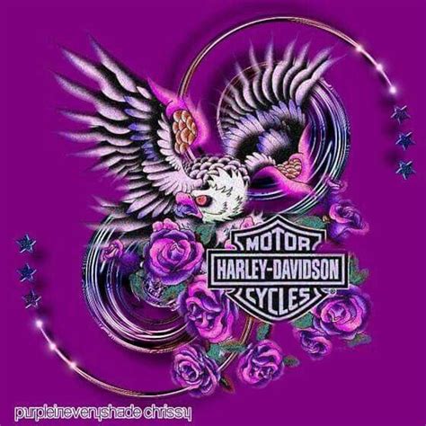 Purple Harley Harley Davidson Wallpaper Harley Davidson Decals My Xxx Hot Girl