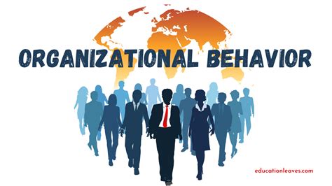 Organizational Behavior Theories Importance Examples Video 59 Off